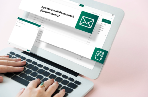 Email Pemerintah