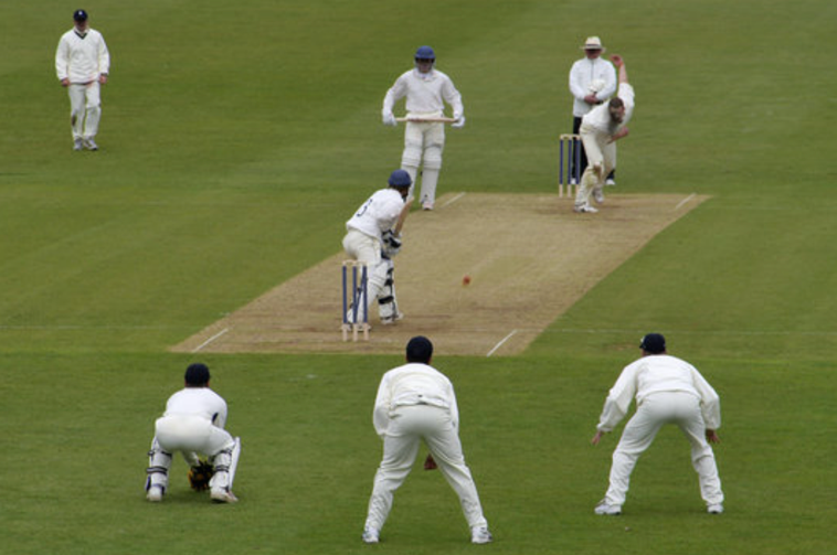Cricket