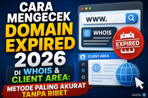 Cara Mengecek Domain Expired